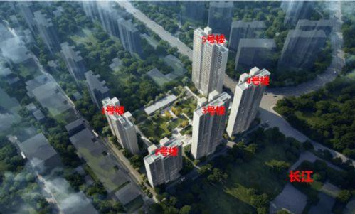 保利爆料最新消息,揭秘项目进展与未来规划